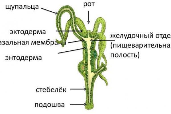 Кракен адрес даркнет