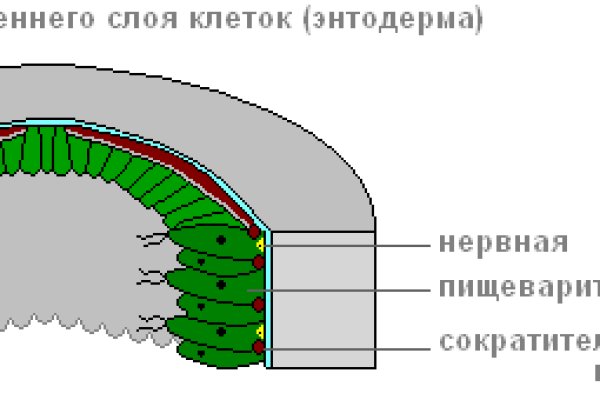 Kraken 12 at сайт