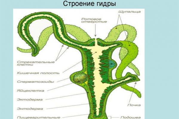 Что такое кракен шоп